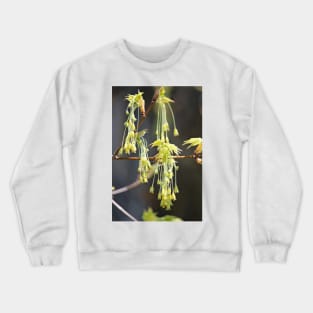 Nature's Earrings Crewneck Sweatshirt